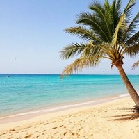 سفر به جزیره کیش؛ شاهکار طبیعت در خلیج فارس