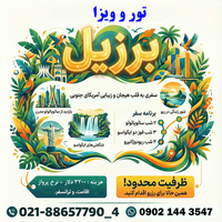تور ویژه برزیل