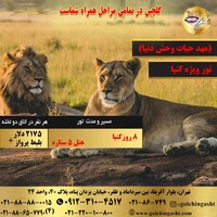  تور سافاری کنیا